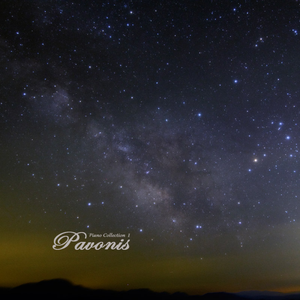 国产精品无码婷婷久久
