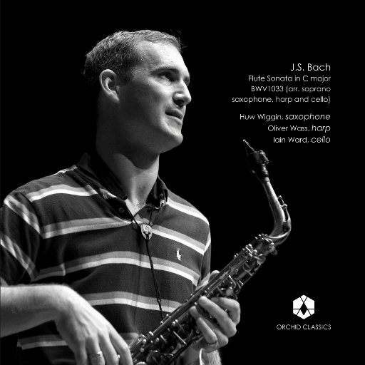 国产精品无码婷婷久久
